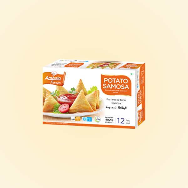 Potato Samosa